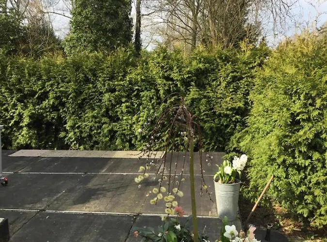 Cornerhouse Nr 75 Heijen