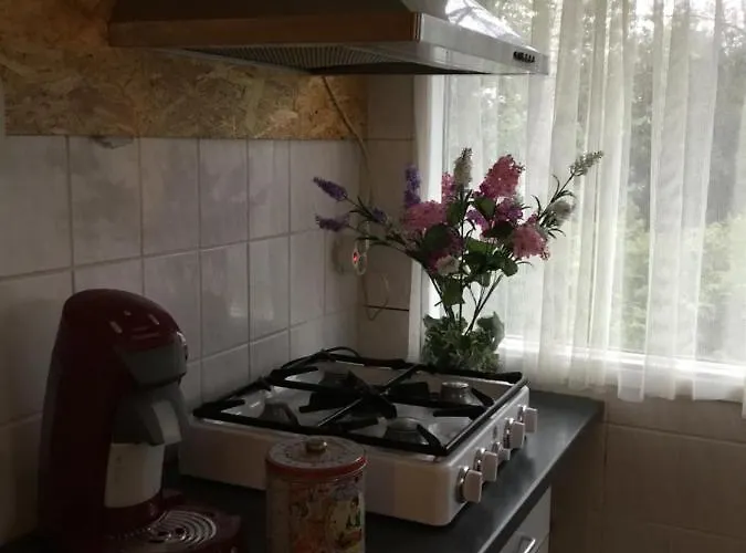 Cornerhouse Nr 75 * Heijen